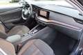 Skoda Octavia Scout 4x4 Navi Kamera VirtualCockpit Schwarz - thumbnail 14