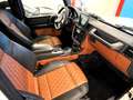 Mercedes-Benz G 63 AMG Edition 463 Designo Leder Carbon Perf Weiß - thumbnail 7