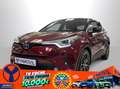 Toyota C-HR 125H Advance Rojo - thumbnail 1