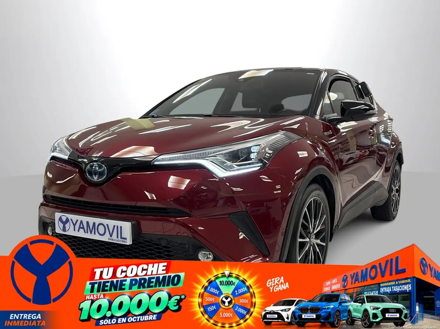 Toyota C-HR 125H Advance Rojo - 1