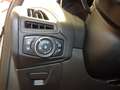 Ford Focus Sportbreak 1.6 TIVCT 125CV Trend+ Grigio - thumbnail 11