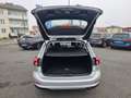 Ford Focus Traveller 1,5 EcoBlue Trend Grau - thumbnail 10