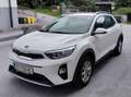 Kia Stonic Stonic 1,25 MPI ISG Silber Silber Weiß - thumbnail 1