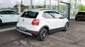 Volkswagen Polo CrossPolo *FINANZIERUNG AB 0,99 % Weiß - thumbnail 3