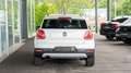 Volkswagen Polo CrossPolo *FINANZIERUNG AB 0,99 % Weiß - thumbnail 15