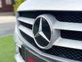 Mercedes-Benz C 180 Classe C Business *OFFERTA CON FINANZIAMENTO* Plateado - thumbnail 28