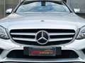 Mercedes-Benz C 180 Classe C Business *OFFERTA CON FINANZIAMENTO* Plateado - thumbnail 18