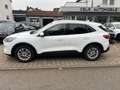 Ford Kuga TCDI Titanium 1 Hand navi Weiß - thumbnail 5
