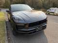 Porsche Macan Macan 2.0 265cv pdk Cerchi 20" Super Prezzo !! Grau - thumbnail 3