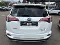 Toyota RAV 4 2.5 4x4 Hybrid Executive Alb - thumbnail 4