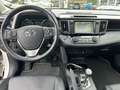 Toyota RAV 4 2.5 4x4 Hybrid Executive Alb - thumbnail 10
