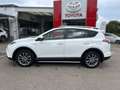 Toyota RAV 4 2.5 4x4 Hybrid Executive Alb - thumbnail 2