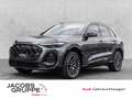Audi Q5 TDI edidion one S line Tech-Pro/AHK/Pano/STHZ Grau - thumbnail 1