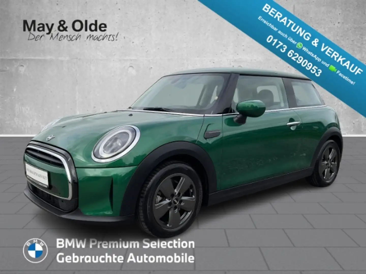 MINI Cooper LED NAVI PANO T-LEDER SHZ Ambientebeleuchtung Fahr Verde - 1