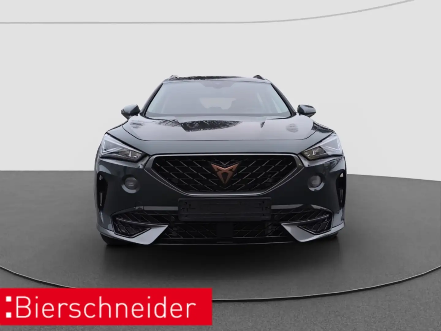 CUPRA Formentor 1.4 DSG eHybrid LED PARK ASSIST SHZ Grün - 2