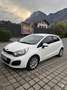Kia Rio 1,2 CVVT Cool - thumbnail 1