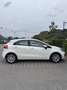 Kia Rio 1,2 CVVT Cool - thumbnail 5