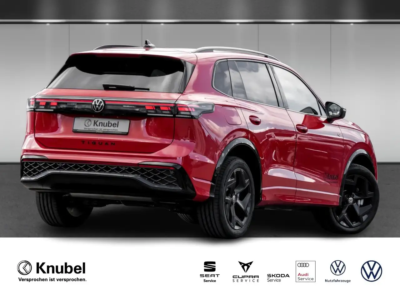 Volkswagen Tiguan R-Line eHybrid IQ.Light AreaView HarmanKardon T..., миниатюра 2