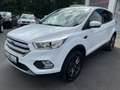 Ford Kuga 1.5 Trend 4x4 Ecobost LED Klima Alu AHK EU6 White - thumbnail 1
