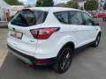 Ford Kuga 1.5 Trend 4x4 Ecobost LED Klima Alu AHK EU6 White - thumbnail 5