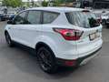 Ford Kuga 1.5 Trend 4x4 Ecobost LED Klima Alu AHK EU6 White - thumbnail 7