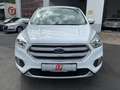 Ford Kuga 1.5 Trend 4x4 Ecobost LED Klima Alu AHK EU6 White - thumbnail 2