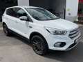 Ford Kuga 1.5 Trend 4x4 Ecobost LED Klima Alu AHK EU6 White - thumbnail 3