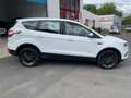 Ford Kuga 1.5 Trend 4x4 Ecobost LED Klima Alu AHK EU6 White - thumbnail 4