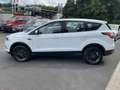 Ford Kuga 1.5 Trend 4x4 Ecobost LED Klima Alu AHK EU6 White - thumbnail 8