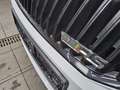 Skoda Octavia Kombi 2.0 TDI RS Navi Xenon ACC StHzg Weiß - thumbnail 11