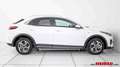 Kia XCeed Xceed 1,6 CRDI 48V Silber Silber Weiß - thumbnail 3