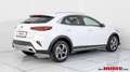 Kia XCeed Xceed 1,6 CRDI 48V Silber Silber Weiß - thumbnail 4