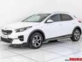 Kia XCeed Xceed 1,6 CRDI 48V Silber Silber Weiß - thumbnail 1