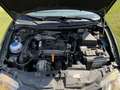 SEAT Ibiza Comfort Edition Grün - thumbnail 12