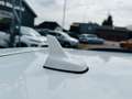 Audi A4 Avant S line Sportpaket / plus *LEDER*NAVI* Bianco - thumbnail 16