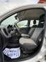 Fiat Panda Panda 1.2 Lounge 69cv E6 Argento - thumbnail 7