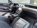 Ford Mustang Mustang Fastback 5.0 V8 aut. GT Noir - thumbnail 16