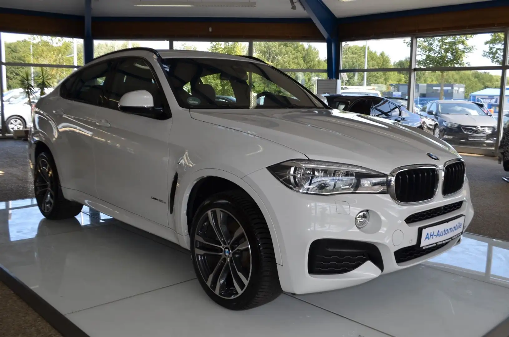 BMW X6 xDrive 30 d M-PAKET Bi-XENON / NAVI / LEDER Weiß - 2