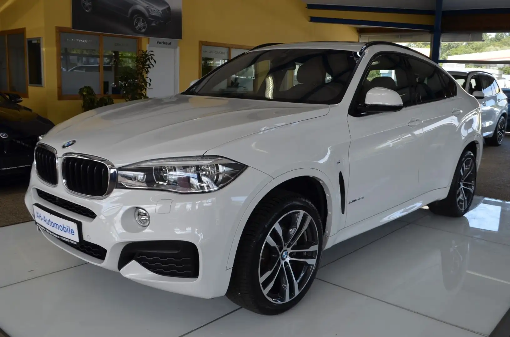 BMW X6 xDrive 30 d M-PAKET Bi-XENON / NAVI / LEDER Weiß - 1