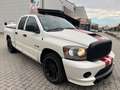 Dodge RAM * * * RAM SRT 10 Viper Motor V10 506 PS * * * - thumbnail 2