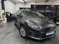 Ford S-Max S-MAX Titanium 7-Sitzer Gris - thumbnail 1