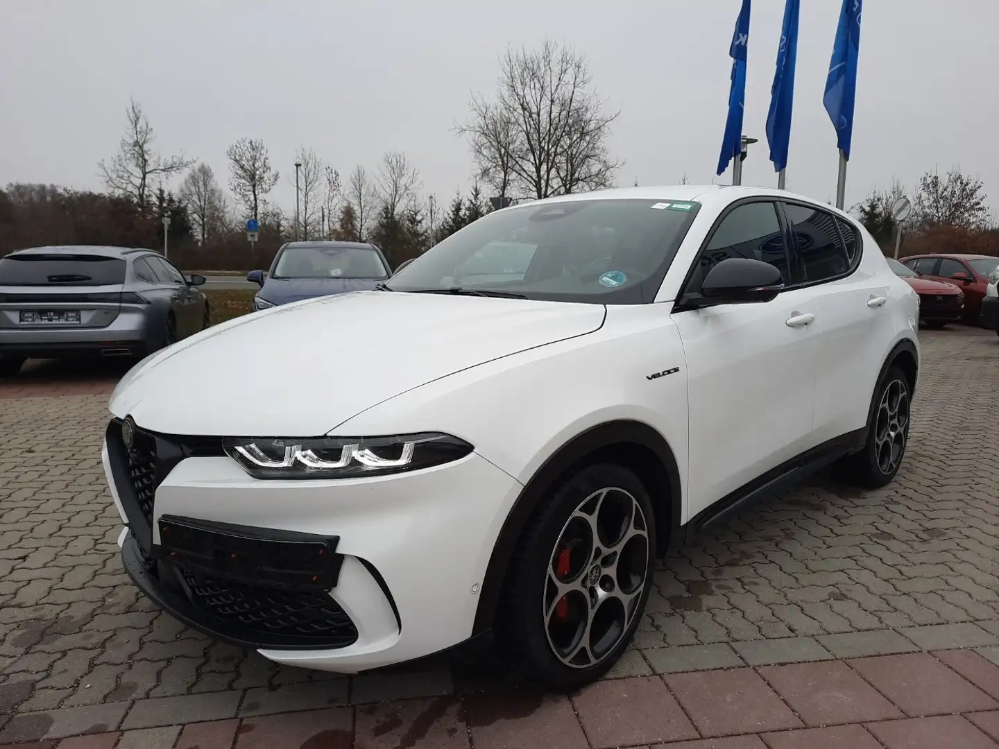 Alfa Romeo Tonale 1.5 Ti ACC DAB SHZ LED S-Kühlung PDC Weiß - 1