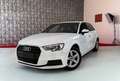 Audi A3 A3 III 2020 Sportback 35 2.0 tdi 150cv s-tronic 7m Weiß - thumbnail 1