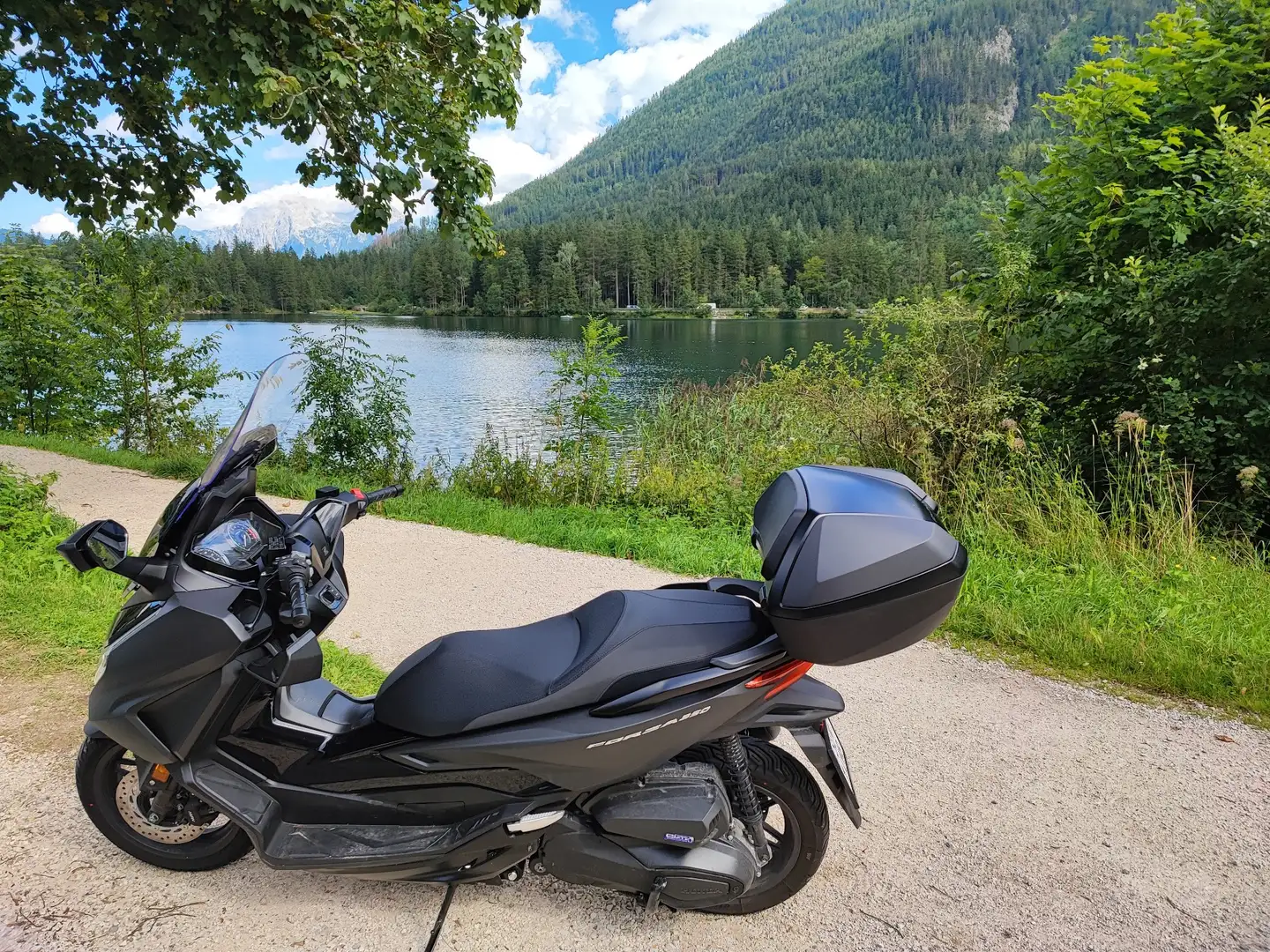 Honda Forza 350 Mit Garantie! Fix-Preis! Black - 1
