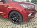 Ford Kuga ST-Line, Xenon, RFK, Navi, 8-fach bereift Rot - thumbnail 5