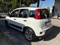 Fiat Panda Panda 1.0 firefly hybrid City Life s - thumbnail 5