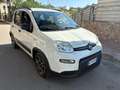Fiat Panda Panda 1.0 firefly hybrid City Life s - thumbnail 3