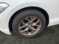 BMW 120 Advantage-Navi-PDC-Leder-Tempomat Weiß - thumbnail 9