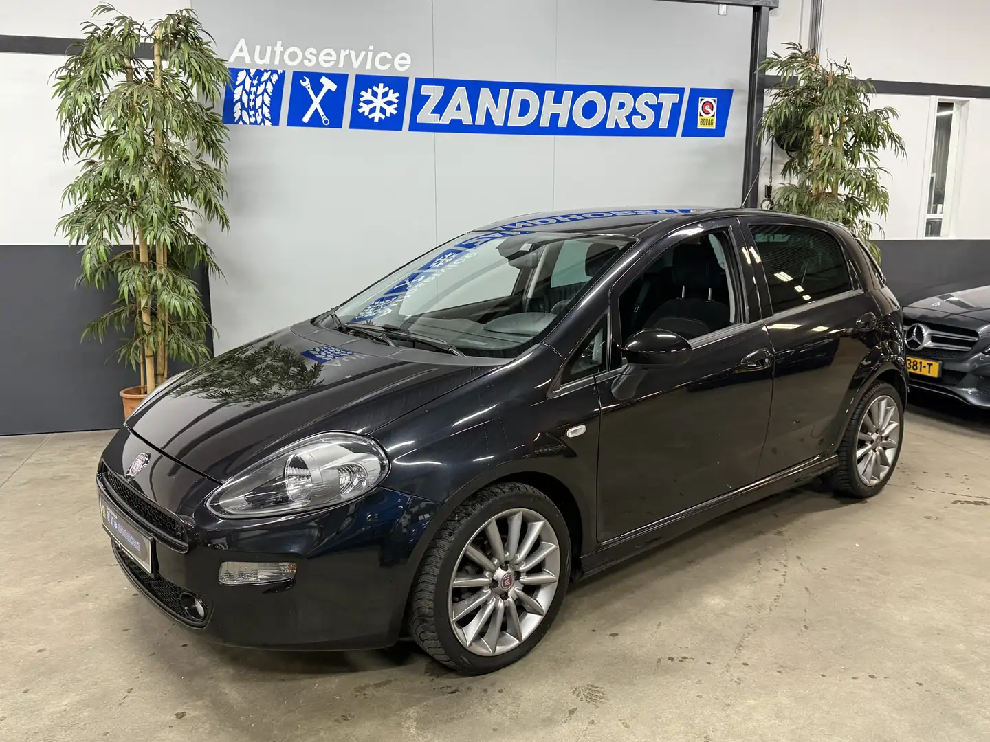 Fiat Punto Evo 0.9 TwinAir Turbo Sport // Ecc // Lm velgen // Cru Noir - 1