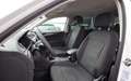 Volkswagen Tiguan 1.5 TSI 150 CV DSG ACT Life Paddle Shift -Adaptiv - thumbnail 11